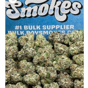 L`Atelier Starhush Meds and SM